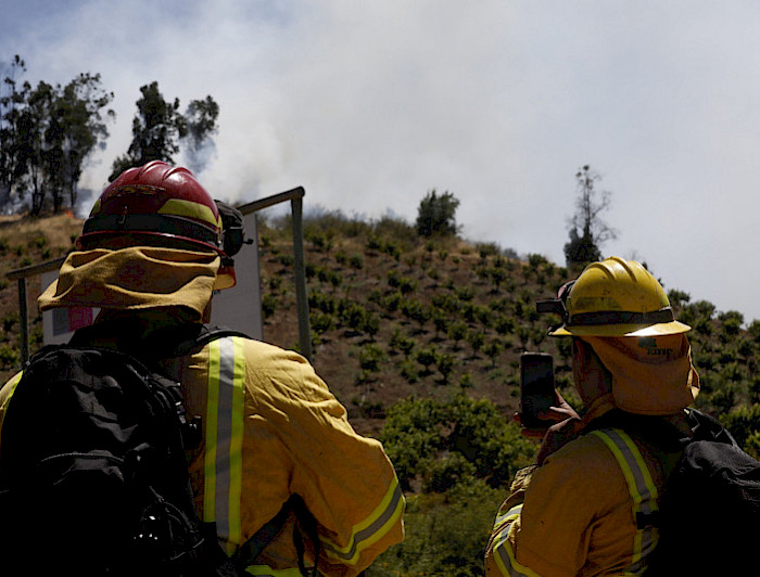 Bomberos en primer plano, detrás, un incendio forestal apagándose. Foto: Dirección de Comunicaciones UC