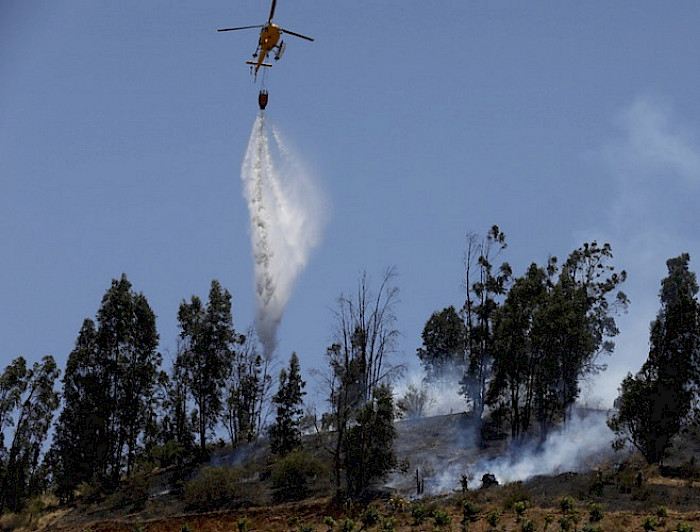 Helicóptero lanzando agua hacia árboles que se incendian debajo de él.