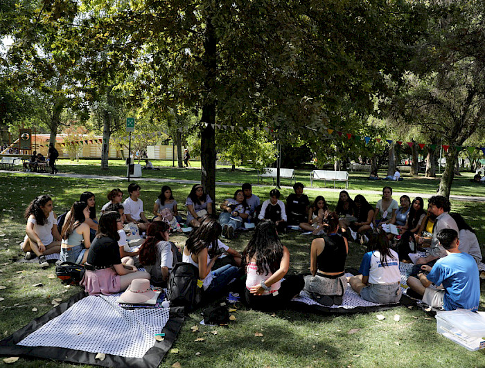 Grupo de estudiantes UC sentados en un círculo, sobre pasto.